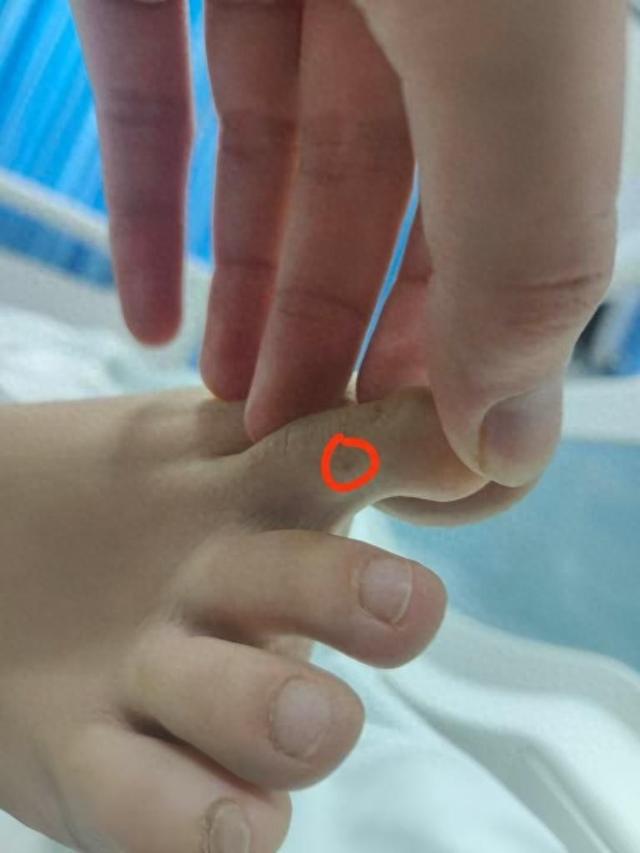 回应质疑：没提任何索赔只希望调查清楚pg模拟器试玩三亚身亡女游客堂姐直播(图2)