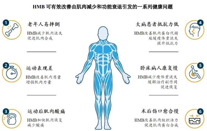 团：扎根运动健康赛道凭多元布局赢长远未来pg电子试玩网站免费HMB全球龙头技源集(图8)