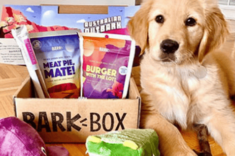 玩具盲盒”年入5亿美元pg电子首页一个“宠物